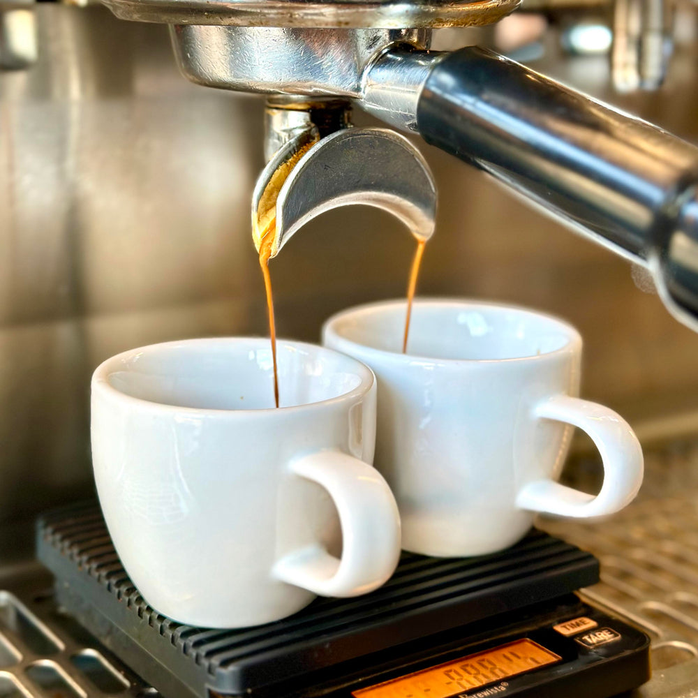 Placebo - Seasonal Espresso Blend