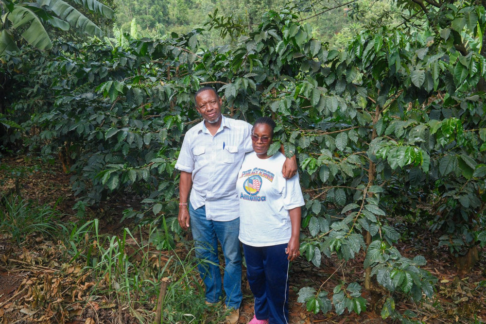 Mbokam AA, Kenya