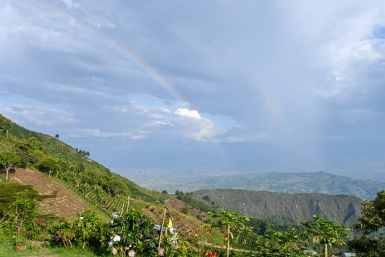 Finca La Fuente, Colombia