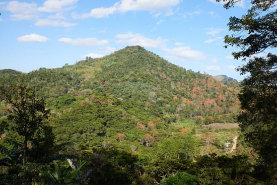 Finca Las Hortensias, Nicaragua