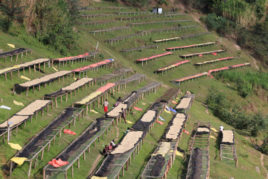 Kaganza Village, Rwanda