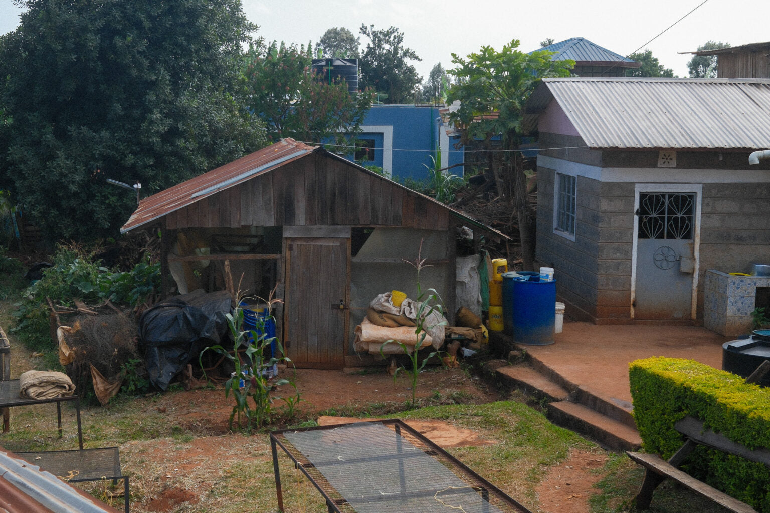 Mbokam AA, Kenya