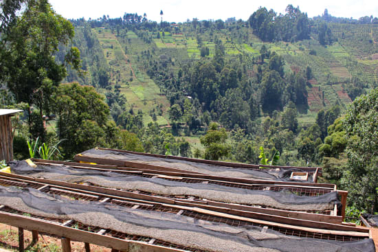 Gatuya, Kenya